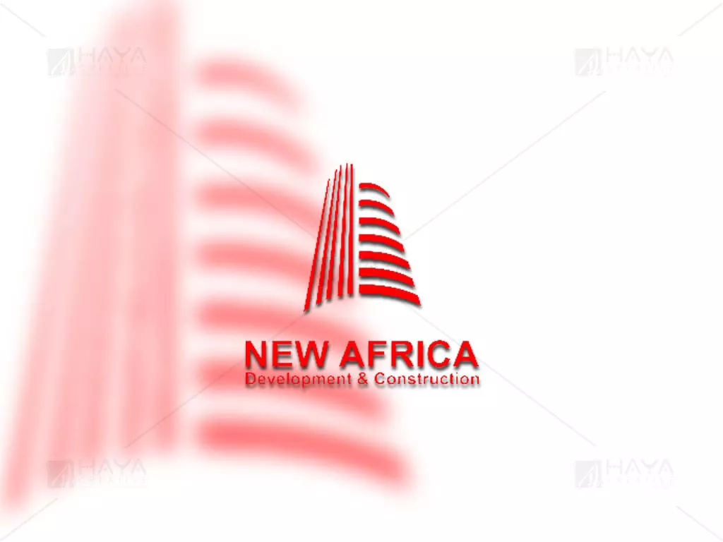 Logo NewAfricaDev